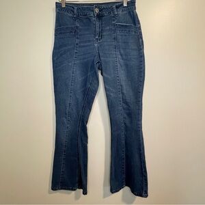 Hydraulic Murray High Rise Flare Jeans 10